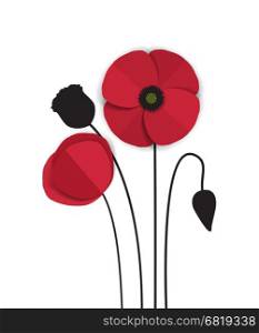 Red Poppy. Vector red romantic poppy flowers and grass