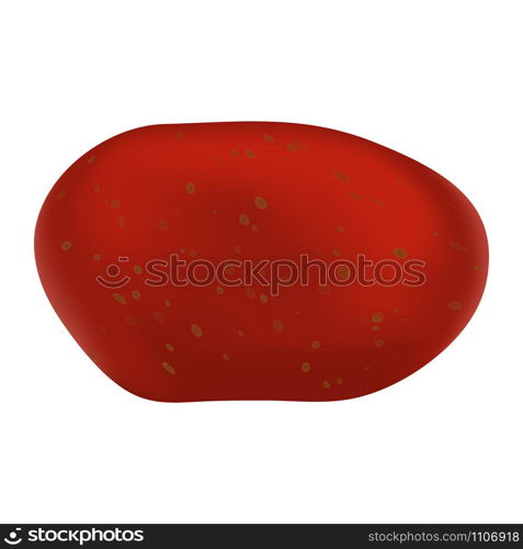 Red potato icon. Realistic illustration of red potato vector icon for web design isolated on white background. Red potato icon, realistic style
