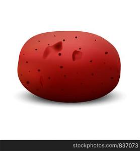 Red potato mockup. Realistic illustration of red potato vector mockup for web design isolated on white background. Red potato mockup, realistic style