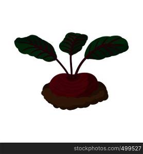 Red radishes cartoon icon isolated on a white background. Red radishes cartoon icon
