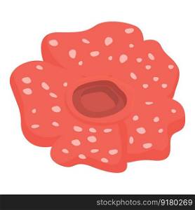 Red rafflesia icon cartoon vector. Flower tropical. Drawing asia. Red rafflesia icon cartoon vector. Flower tropical