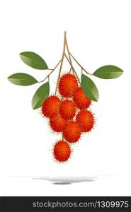 Red rambutans with twigs and leaves on a white background