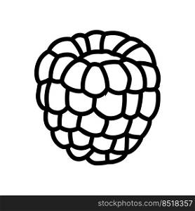 red raspberry ripe fruit line icon vector. red raspberry ripe fruit sign. isolated contour symbol black illustration. red raspberry ripe fruit line icon vector illustration