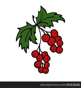 Red Ribes Isolated doodle vector illustration. Concept of summer, fruits, berries and healthy food. Objects for icon, menu, cover, print, poster, cards, web element, social media, card for children.. Red Ribes Isolated doodle vector illustration. Concept of summer, fruits, berries and healthy food.