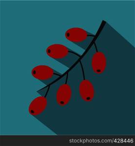 Red ripe barberries icon. Flat illustration of red ripe barberries vector icon for web isolated on baby blue background. Red ripe barberries icon, flat style