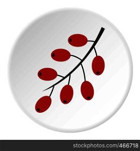 Red ripe barberries icon in flat circle isolated on white background vector illustration for web. Red ripe barberries icon circle