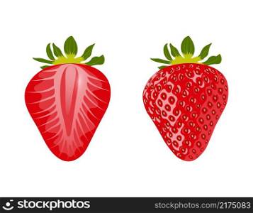 Red ripe berries and half strawberries isolated on white background. Sweet food. Vector illustration.. Red ripe berries and half strawberries isolated