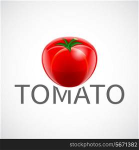 Red ripe fresh tomato realistic poster vector illustration.