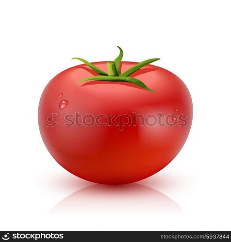 Red ripe tomato with water droplets isolated on white background realistic vector illustration. Realistic Tomato Isolated