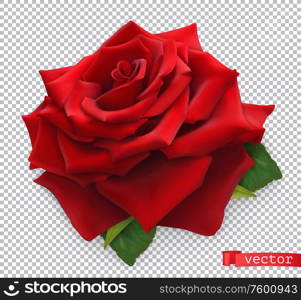 Red Rose. 3d realistic vector object