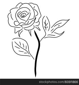 Red Rose isolated on white, vector illustration.
