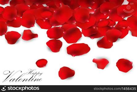Red rose petals on a white background.vector