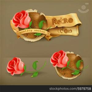 Red rose vector