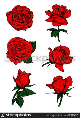 Red roses buds icons. Vector sketch botanical elements with stem and leaves. Scarlet rose flowers emblems for tattoo, icon, decoration. Red roses buds icons. Flower sketch emblem