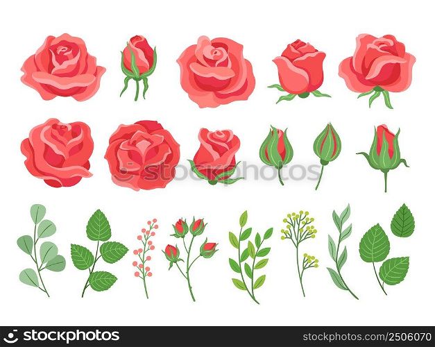 Red roses cartoon. Burgundy rose and green leaves. Blooming plants, garden branches for bouquet. Isolated wedding or birthday cards neoteric vector elements. Illustration of red rose to wedding. Red roses cartoon. Burgundy rose and green leaves. Blooming plants, garden branches for bouquet. Isolated wedding or birthday cards neoteric vector elements