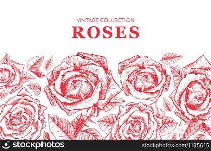 Red Roses Contour Banner or Greeting Card Flowers Vector Pattern, Print Background with text. Flowers for Valentines Day. Wedding Invitation Design. Horizontal Poster with Engraved Freehand Drawings. Print Background. Red Roses Contour Banner or Greeting Card Flowers Vector Pattern, Print Background with text
