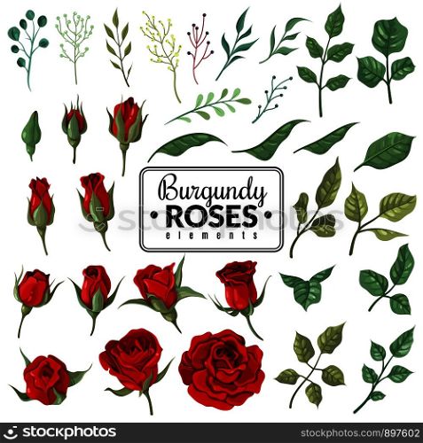 Red roses. Garden burgundy rose flowers, floral bouquets with buds and green leaves for wallpaper, wedding card and tattoo. Vector blooming planted symbol print set. Red roses. Garden burgundy rose flowers, floral bouquets with buds and green leaves for wallpaper, wedding card and tattoo. Vector set