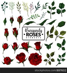 Red roses. Garden burgundy rose flowers, floral bouquets with buds and green leaves for wallpaper, wedding card and tattoo. Vector blooming planted symbol print set. Red roses. Garden burgundy rose flowers, floral bouquets with buds and green leaves for wallpaper, wedding card and tattoo. Vector set