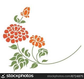 red roses on the white background