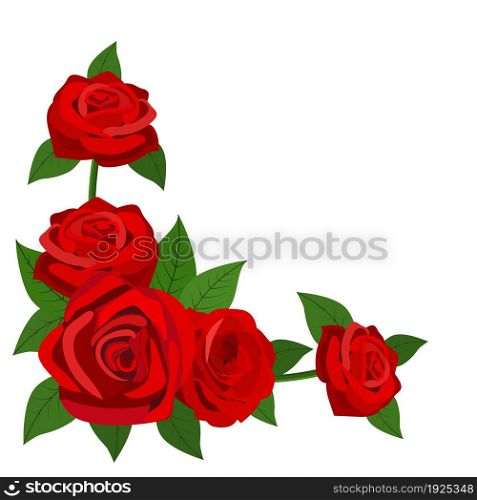 red roses with leaves isolated on a white background. Greeting card. vector illustration in flat design. red roses with leaves isolated on a white background