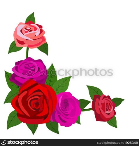 red roses with leaves isolated on a white background. Greeting card. vector illustration in flat design. red roses with leaves isolated on a white background