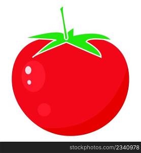 Red single tomato isolated vector illustration. Seasonal vegetable. Healthy organic food icon style