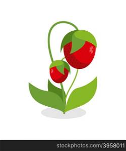 Red strawberries with green stems. Juicy Berry with leaves on a white background. Vector illustration of a garden of fruit.&#xA;