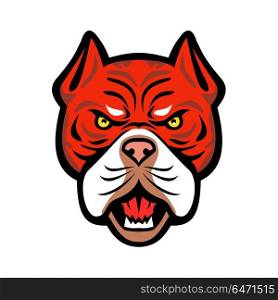Red Tiger Bulldog Head Front Mascot. Mascot icon illustration of head of an angry Red Tiger Bulldog, an American dog breed with red nose viewed from front on isolated background in retro style.. Red Tiger Bulldog Head Front Mascot