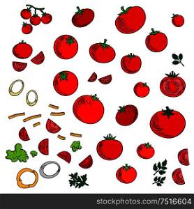 Red tomato vegetables icons with branch of sweet cherry tomatoes, green twigs of parsley and dill, sliced bell pepper and onion. Vegetable salad ingredients for vegetarian recipe or agriculture design. Tomato vegetables icons with spicy herbs