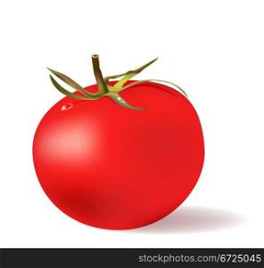 red tomato with water drops