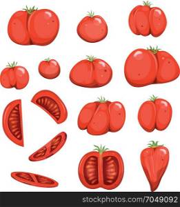 Red Tomatoes Set. Illustration of a set of cartoon appetizing red tomatoes, with slices