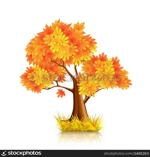 Red Tree, vector