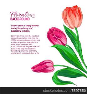Red tulips and sample text. Vector illustration.