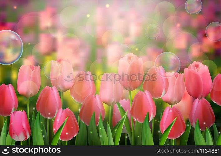 Red tulips flowers in the garden.