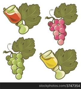 Red wine and white wine in wineglass, red and green grape bunch. Vector illustration.