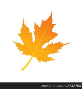 Red-yellow autumn leaf. Autumn foliage. Vector illustration for a creative idea. Flat style