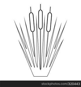 Reed Bulrush Reeds Club-rush ling Cane rush icon black color outline vector illustration flat style simple image. Reed Bulrush Reeds Club-rush ling Cane rush icon black color outline vector illustration flat style image