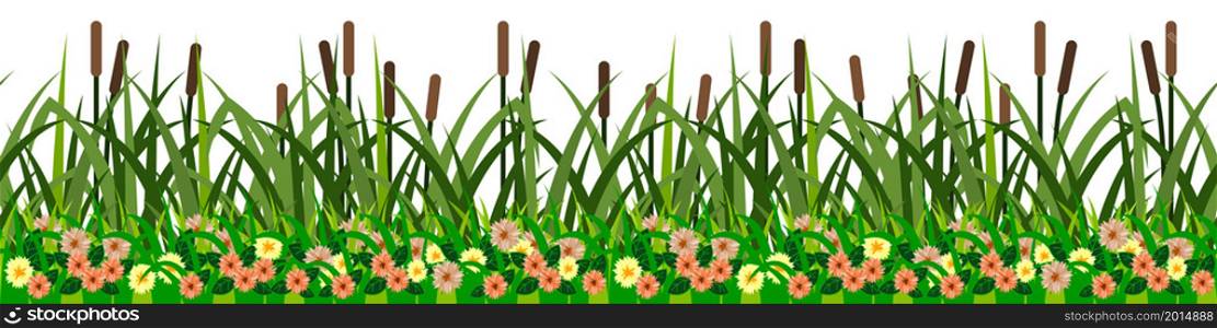 Reeds, grass and flowers, seamless repeat grassland pattern for cartoon landscape. Green grass, river reeds, yellow and orange wild flowers on white background, farm field. vector illustration
