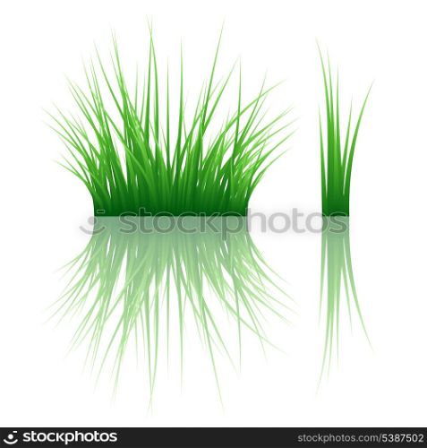 Reflected vector grass pattern. Vector illustration