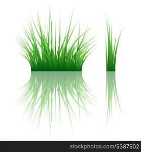 Reflected vector grass pattern. Vector illustration