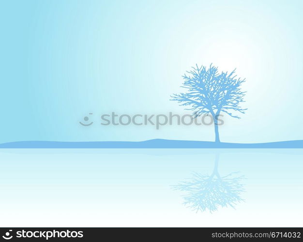 reflections