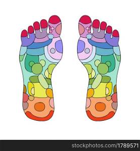 reflexology zones, massage signs and colored points