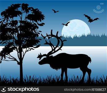 Reindeer beside lake. Silhouette of the deer on background of the wild nature