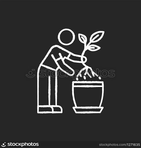 Replanting chalk white icon on black background. Transplanting, repotting. Indoor gardening. Plant growing. Potting plants, changing planter. Planting seedling. Isolated vector chalkboard illustration