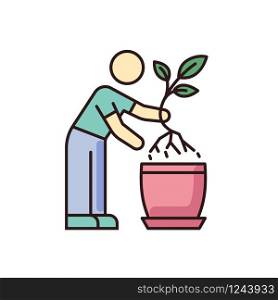 Replanting RGB color icon. Houseplant caring. Transplanting, repotting. Indoor gardening. Plant growing process. Potting plants, changing planter. Planting seedling. Isolated vector illustration
