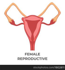 Reproductive system of women, isolated icon of anatomy organ of females. Uterus and tubes with eggs. Medicine and gynecology research or study, anatomy and biology classes. Vector in flat style. Female reproductive system of woman, biology icon
