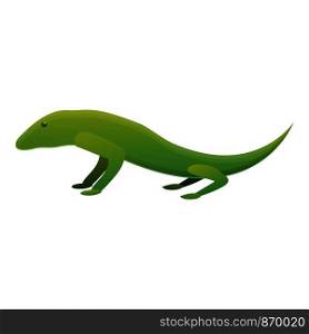 Reptile lizard icon. Cartoon of reptile lizard vector icon for web design isolated on white background. Reptile lizard icon, cartoon style