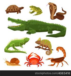 Reptiles and amphibians decorative set of cobra crocodile turtle snail scorpion crab icons in cartoon style isolated vector illustration . Reptiles And Amphibians Set