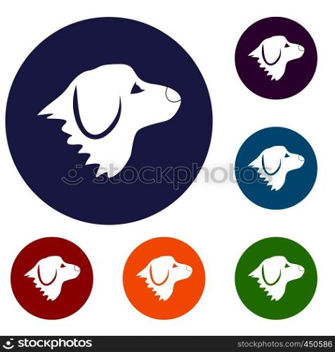 Retriever dog icons set in flat circle reb, blue and green color for web. Retriever dog icons set