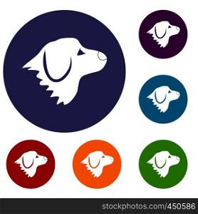 Retriever dog icons set in flat circle reb, blue and green color for web. Retriever dog icons set